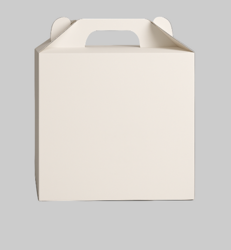 Boîte à gâteau blanche 28x28x30 cm avec poignée